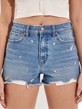 American Eagle Outfitters Floral Embroidered Mom Shorts Denim Ripped Size 12